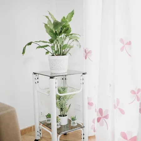 Lägenhet Vista Mare